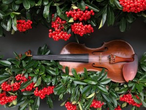 "CANTABILE" III Международный конкурс музыкального искусства